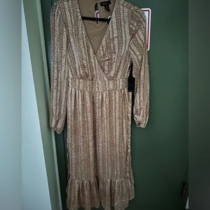 Hi there! I am selling this never worn before nude tan-ish modest dress.